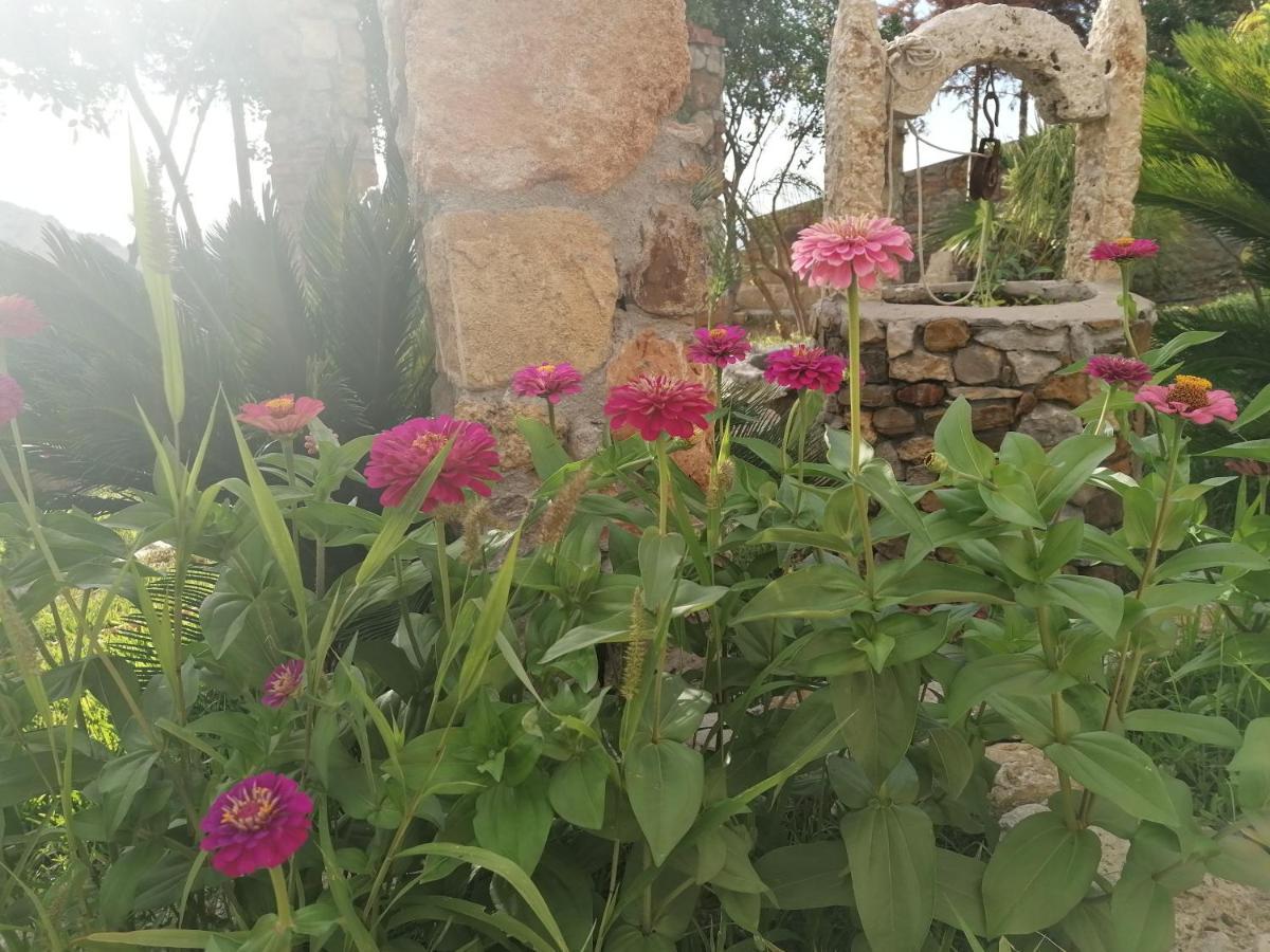 Villa Nonna Nina カパーチ エクステリア 写真